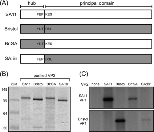 FIG. 6.