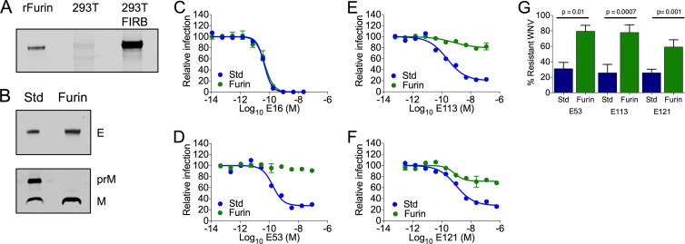 FIG 2