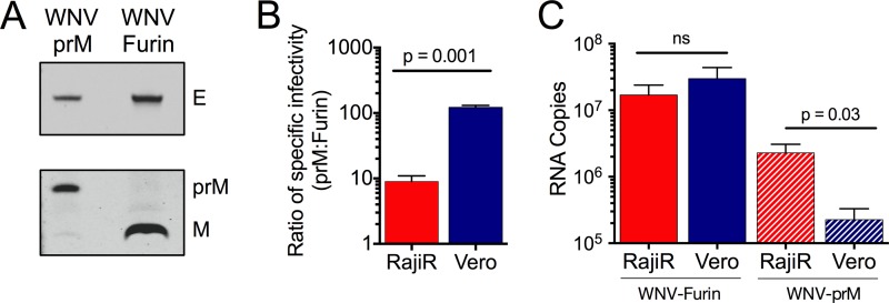 FIG 3