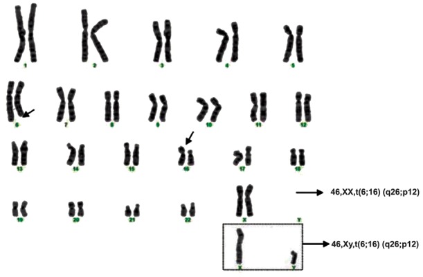 Fig.1