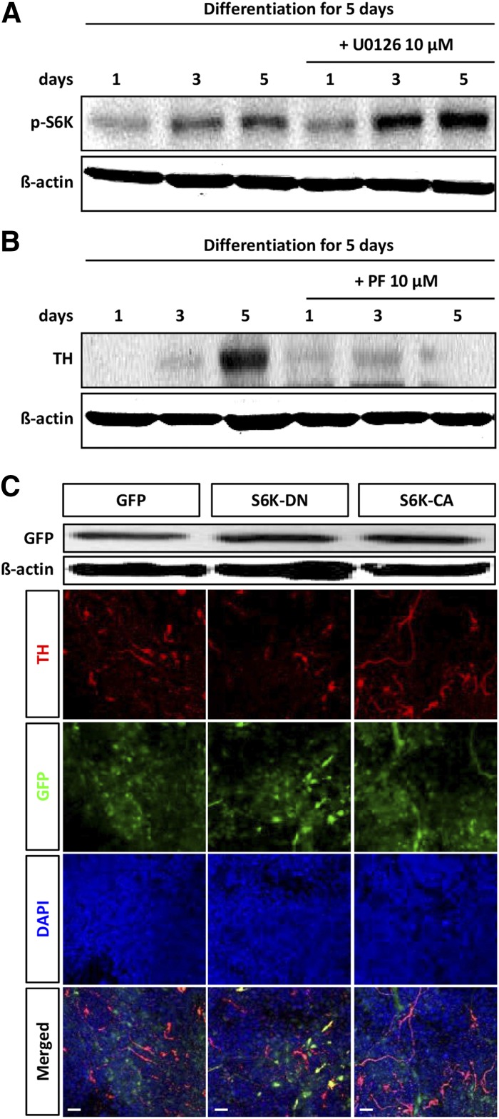 Figure 6.