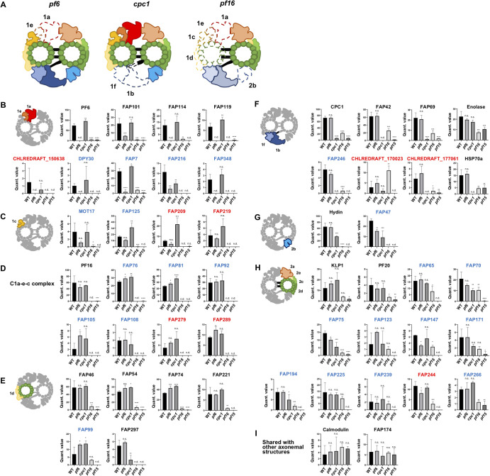 Figure 4