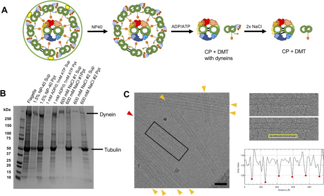 Figure 2