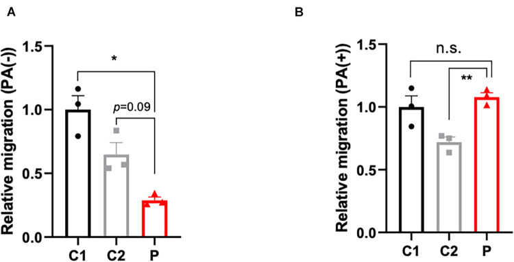 FIGURE 3