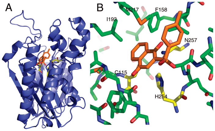 Figure 5