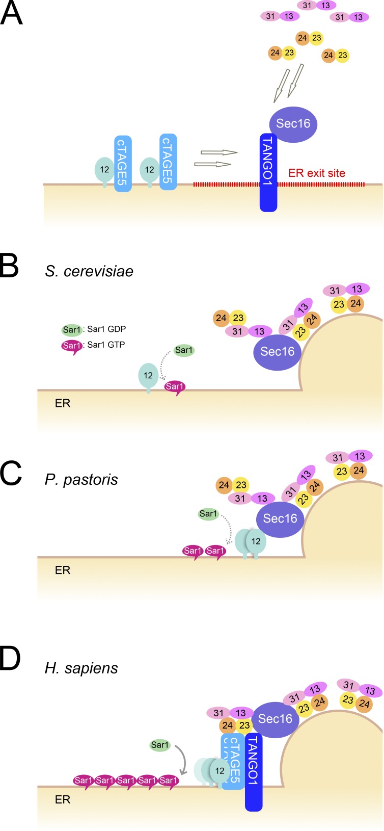 Figure 7.