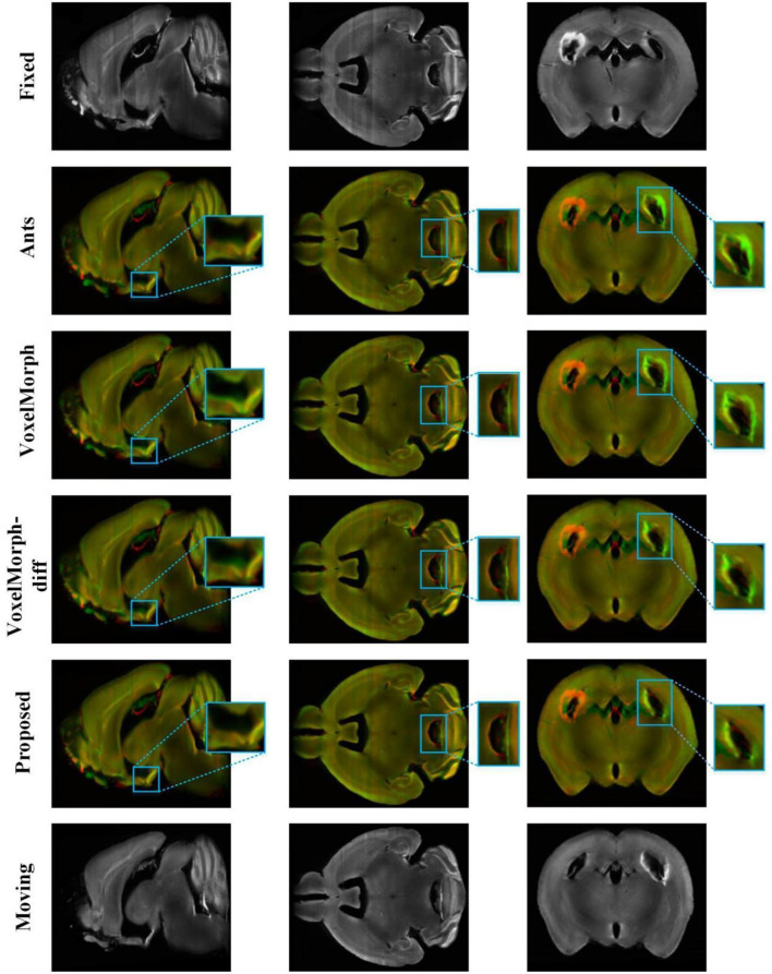 Figure 5