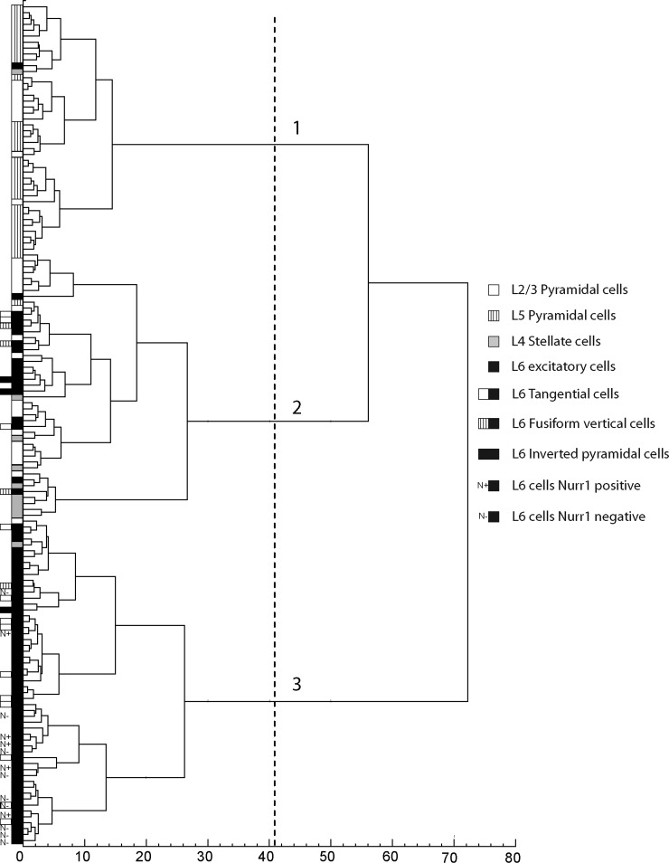 FIG. 8.