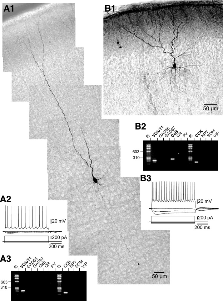 FIG. 6.