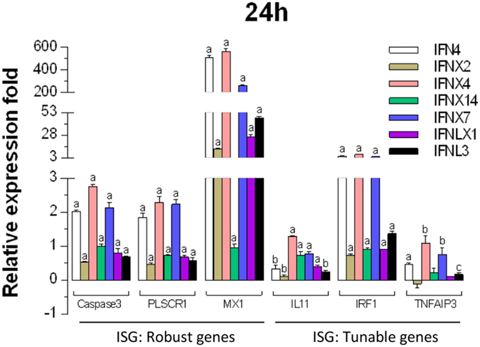 Figure 12