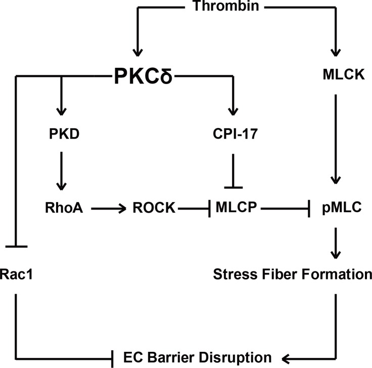 Fig 8