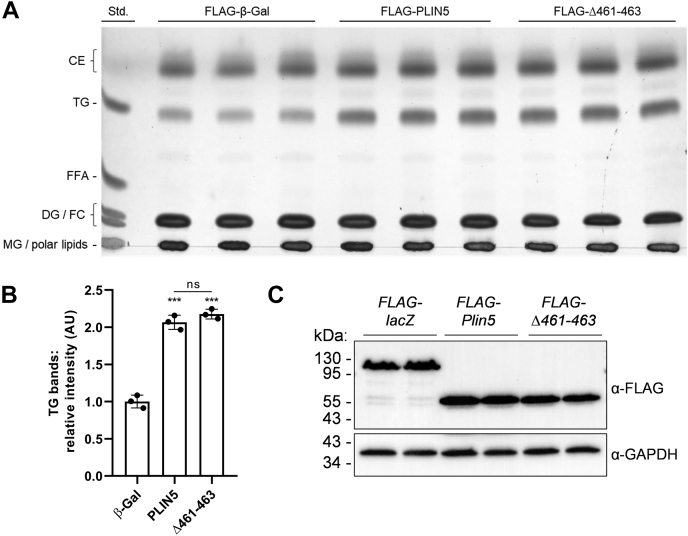 Fig. 3