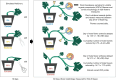 Graphical Abstract