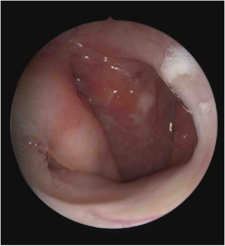 Figure 5 