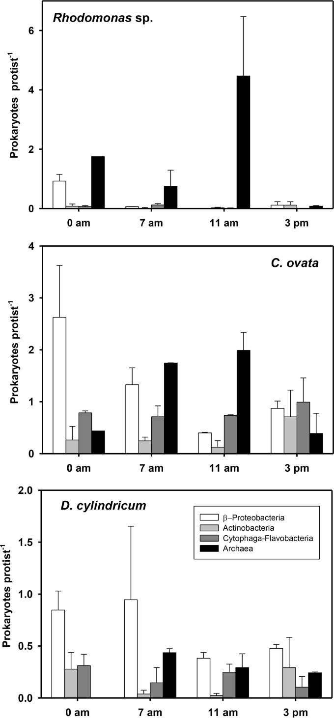 FIG 4