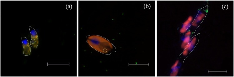 FIG 3