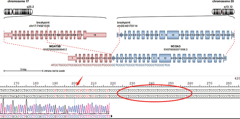 Figure 4.