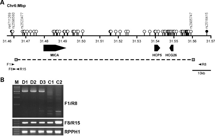 Figure 1.