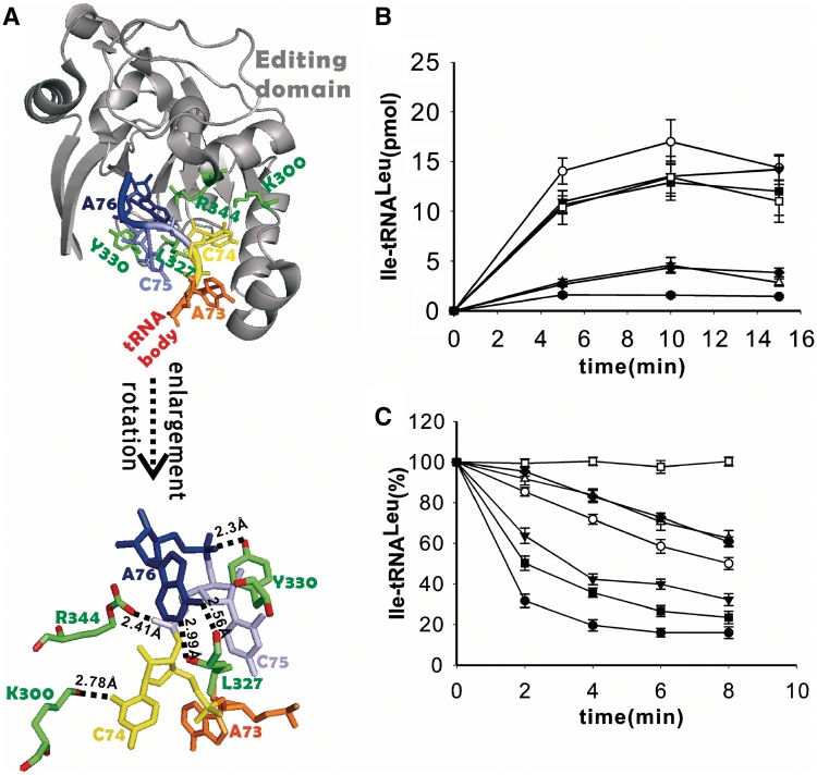 Figure 5.