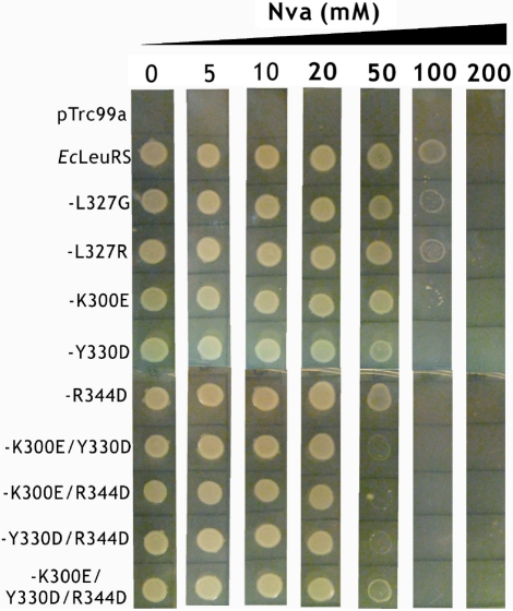 Figure 6.