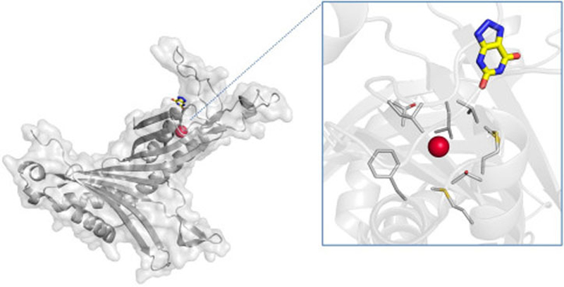 Fig. 2