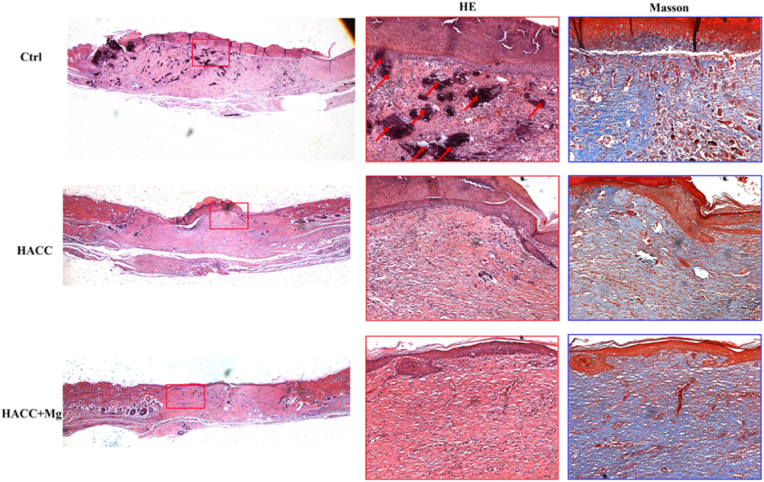 Fig. 8