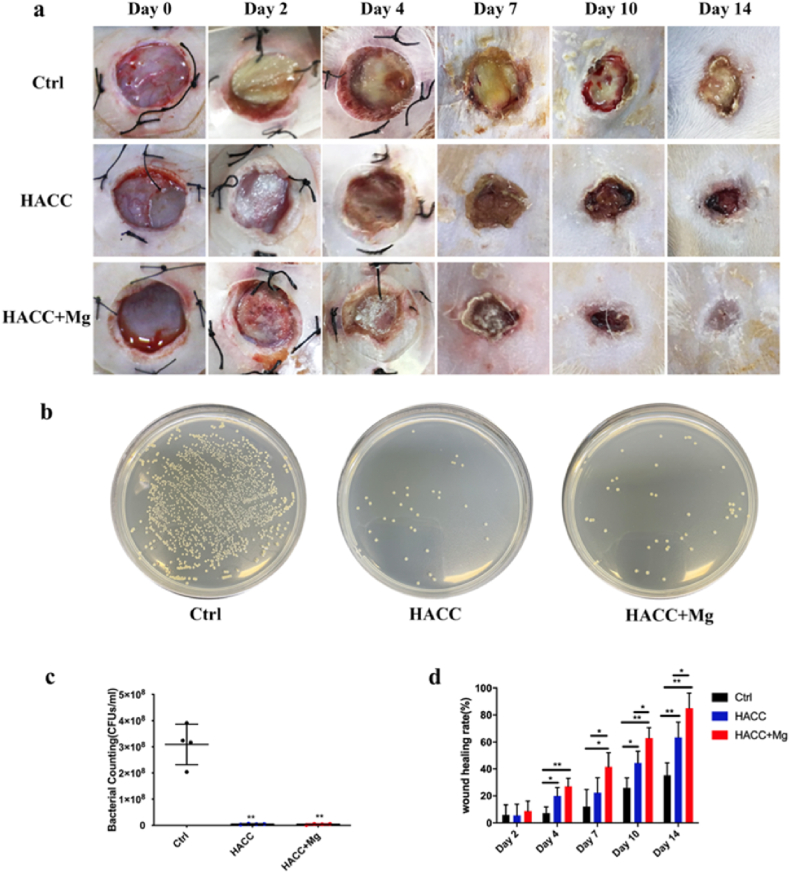 Fig. 6