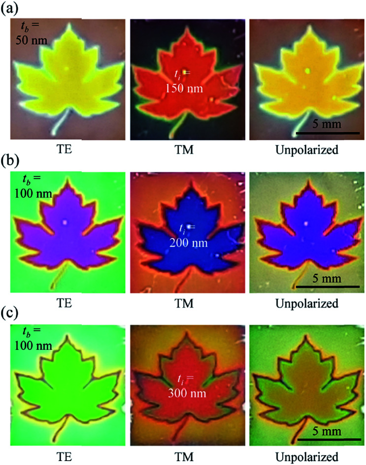 Fig. 7