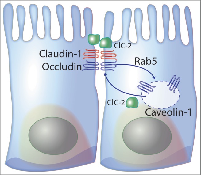 Figure 2.