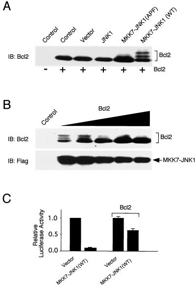 FIG. 8.