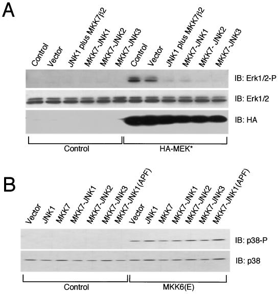 FIG. 5.