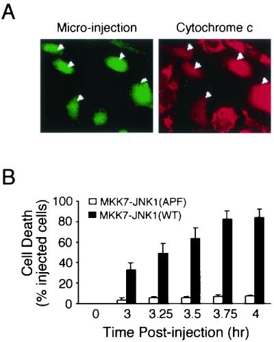 FIG. 7.