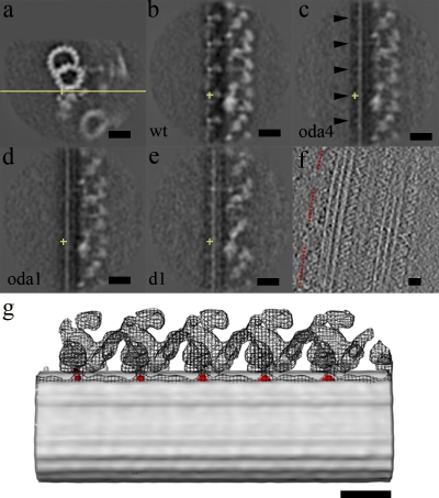 Figure 3.