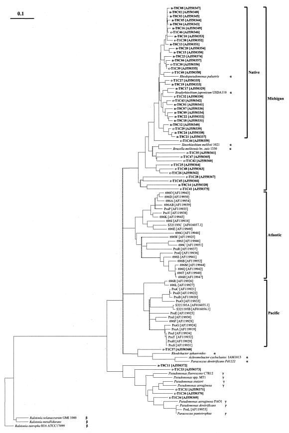 FIG.4.