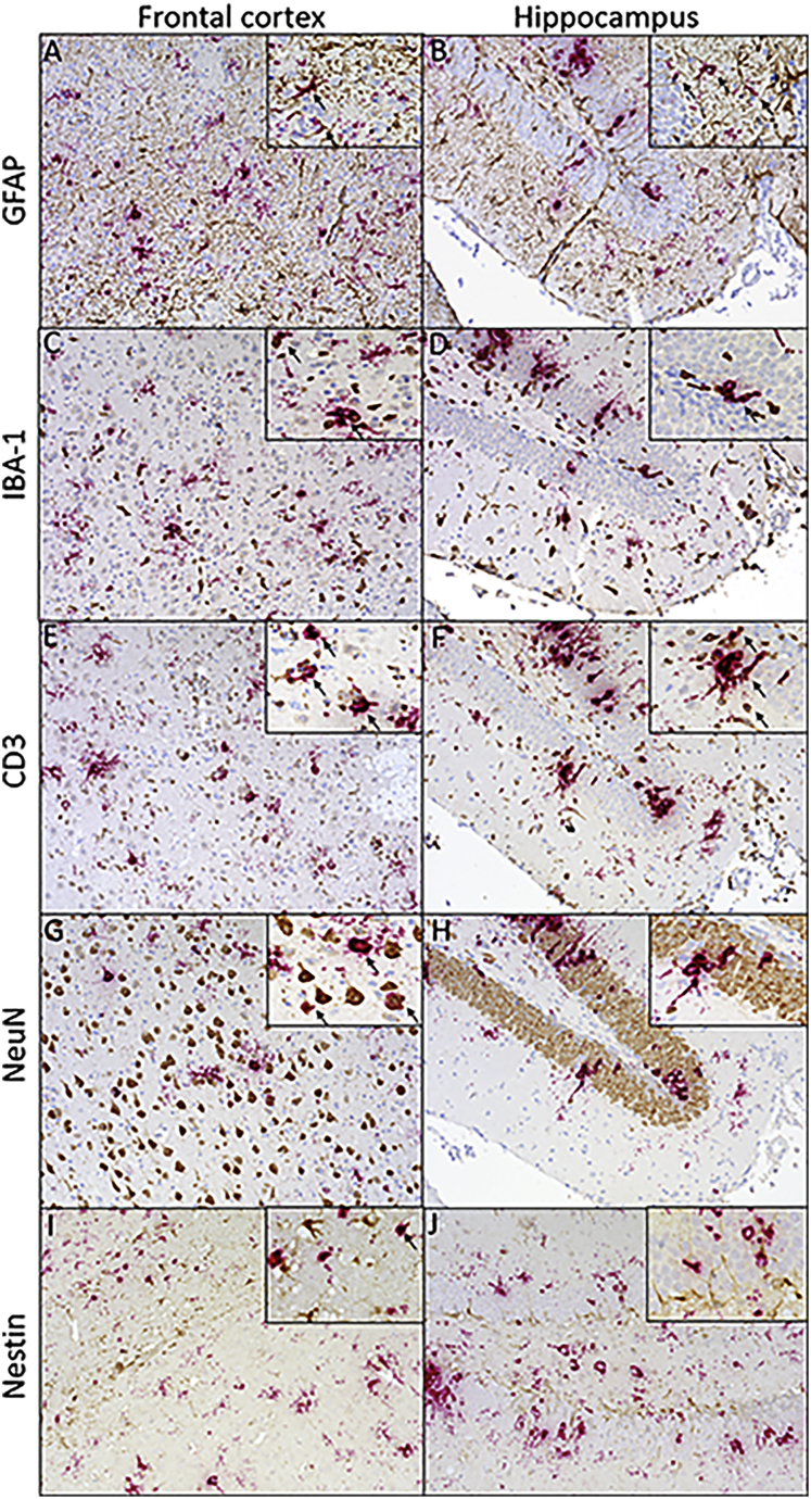 Figure 6