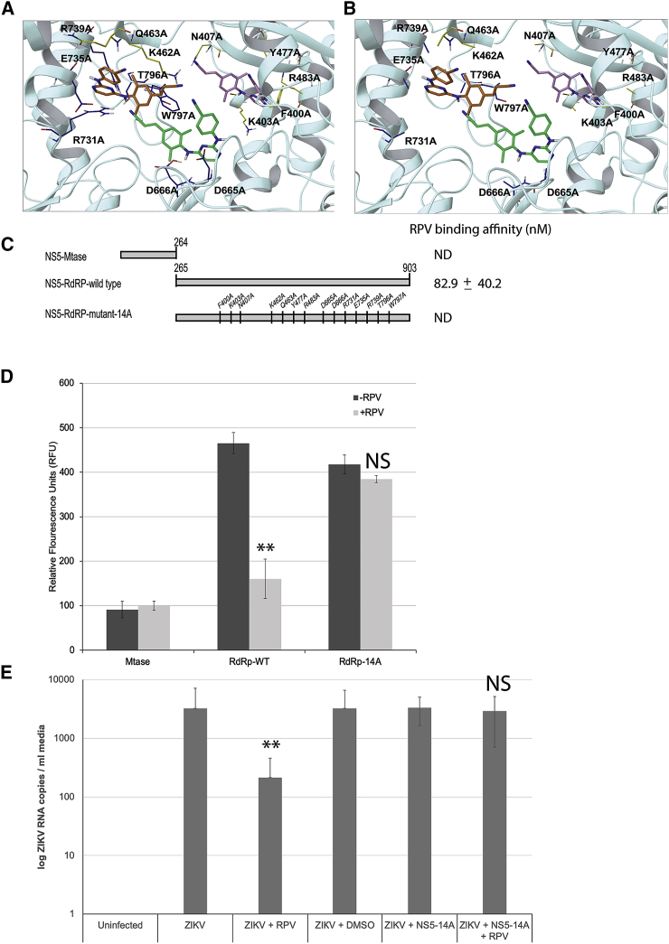 Figure 4