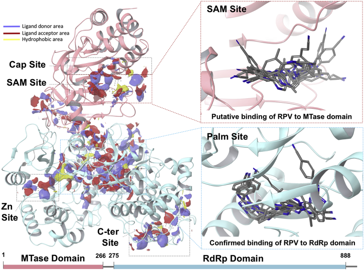 Figure 2