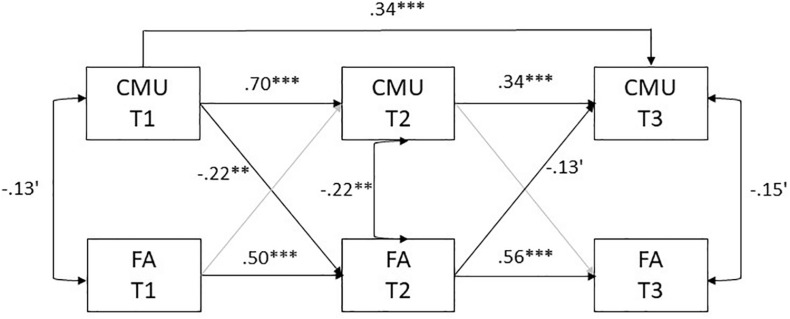 FIGURE 1