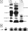 FIG. 5.