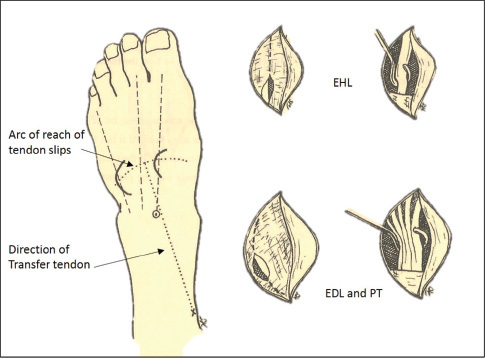 Fig. 10