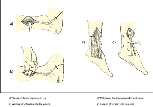 Fig. 9