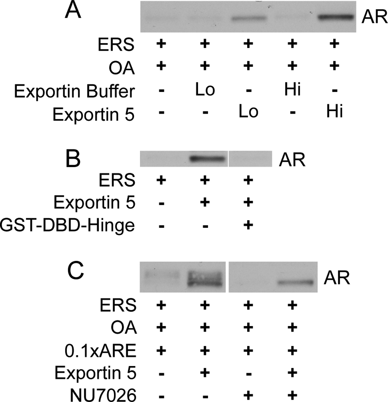 Figure 10.