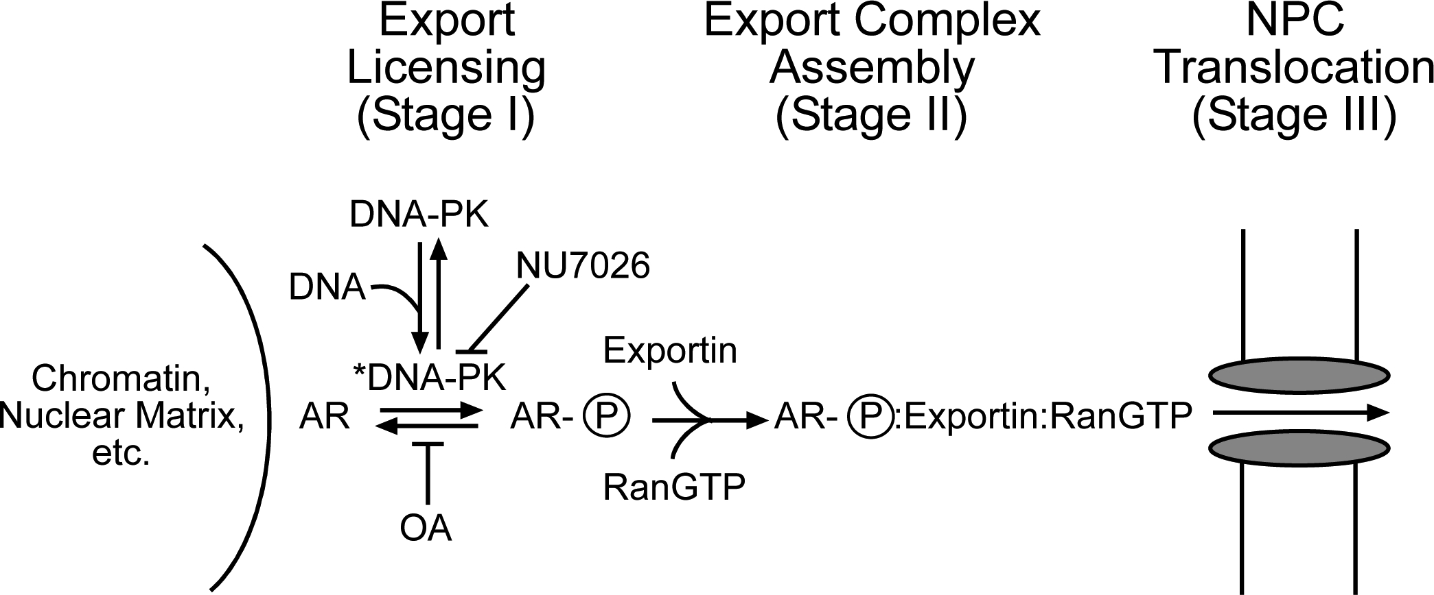 Figure 11.