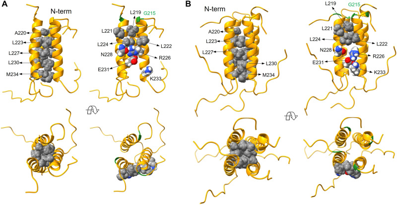 Fig. 6.