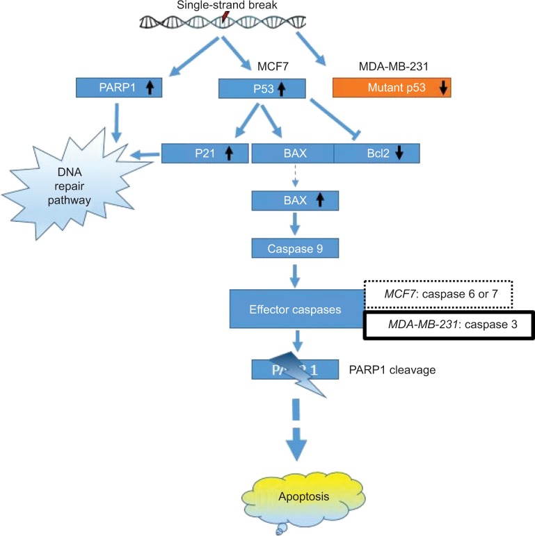 Figure 17