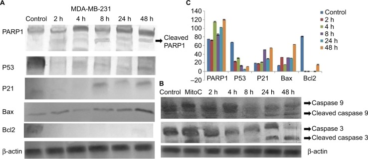 Figure 16