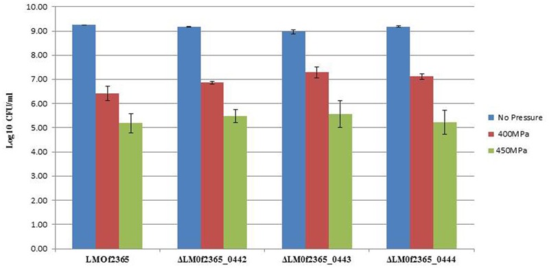 FIGURE 3