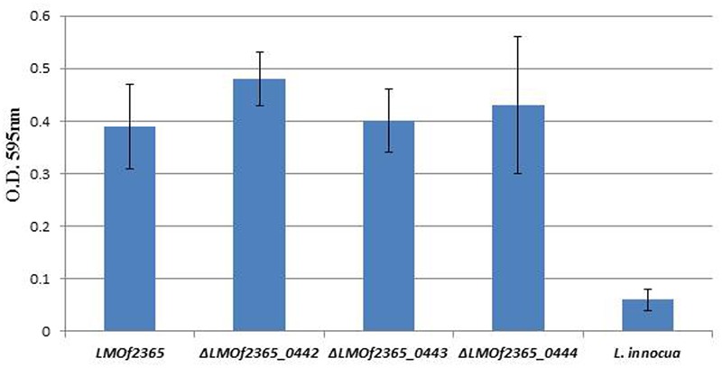 FIGURE 4