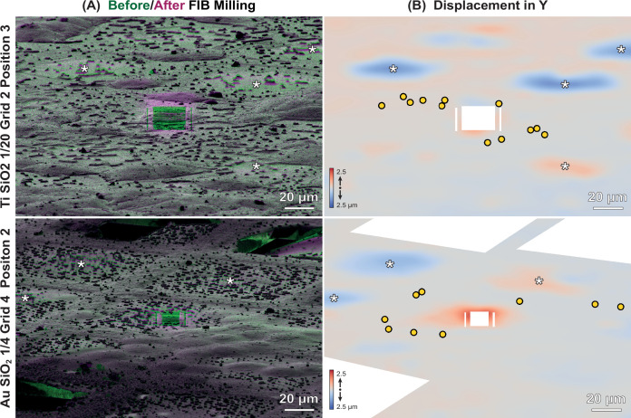 Figure 3—figure supplement 3.