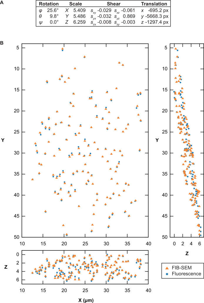 Figure 4—figure supplement 2.